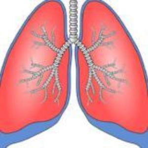 Lung 2